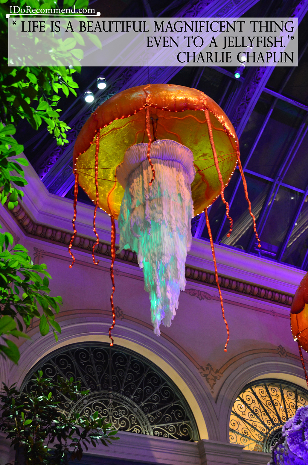 Quote "Life is a beautiful magnificent thing even to a jellyfish" (photo from USA, Las Vegas, Bellagio Hotel)