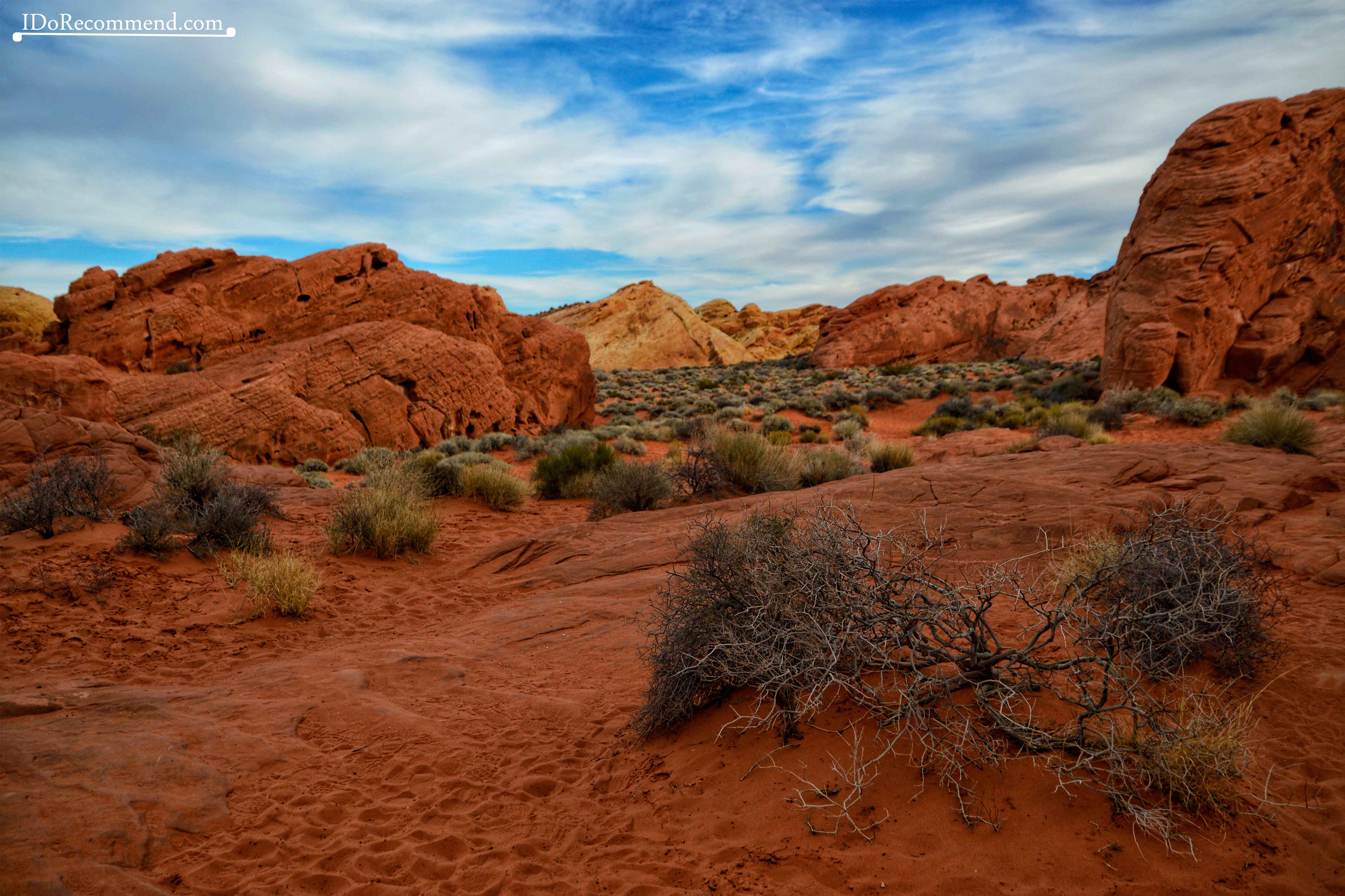 Las_Vegas_Nevada_desert_Valley_of_Fire_White_Domes_Road